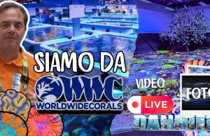 Siamo stati da WWC – World Wide Corals: attenzione alle coronarie