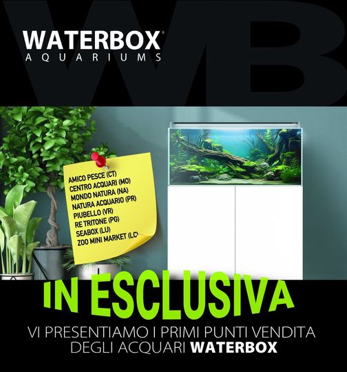 Dove potete trovare gli acquari Waterbox?
