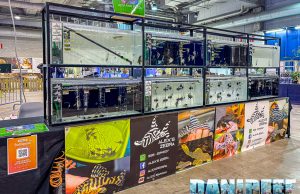 Alex’s Zebra con tante rarità amazzoniche al PetsFestival 2024