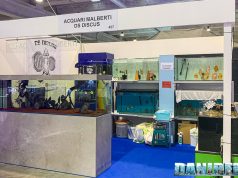 Acquari Malberti: maestria artigianale ed eleganza al PetsFestival