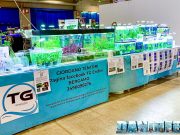 TG Endler: Allevamento amatoriale di Guppy Endler al PetsFestival