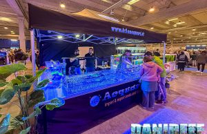 500 coralli allo stand H2O Acquari al PetsFestival 2024