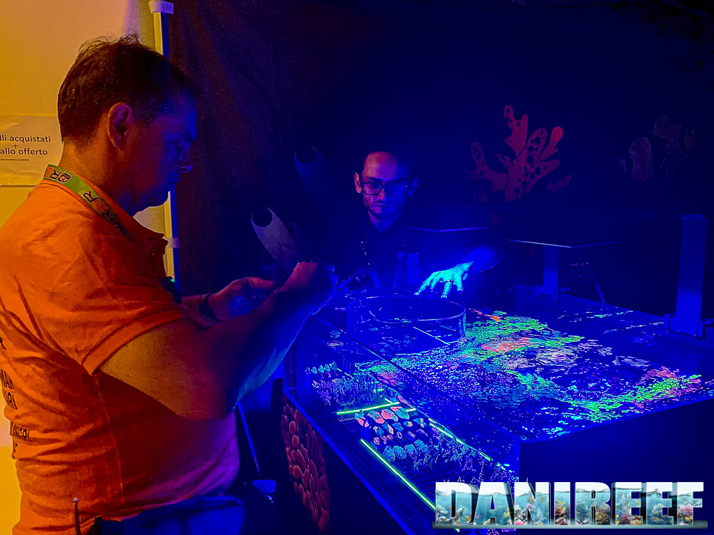 DaniReef e MattReefer intenti a guardare i coralli