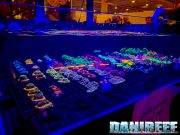 Tutti i coralli di Recifathome al Petsfestival 2024 in foto e video