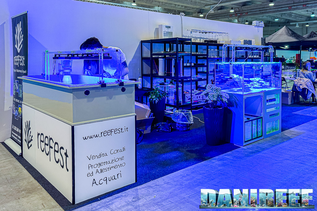 Lo stand Reefest prima ancora dell'apertura della fiera