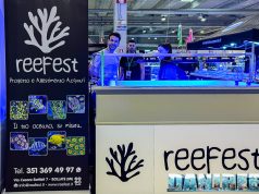 Reefest: intervista a Luca per il suo primo Pets… e tanti coralli
