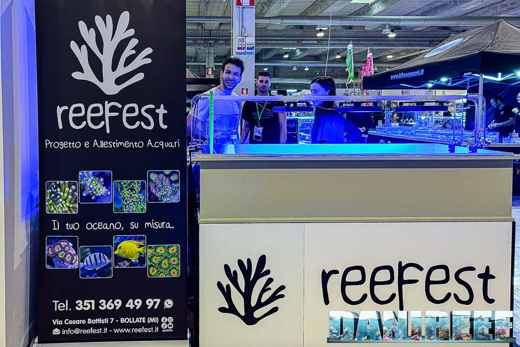Reefest: intervista a Luca per il suo primo Pets... e tanti coralli