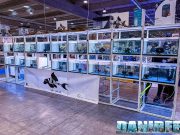 PetsFestival 2024: scopri VL Welse e i suoi straordinari Loricaridi e Ciclidi