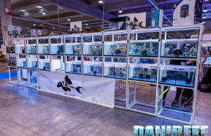 PetsFestival 2024: scopri VL Welse e i suoi straordinari Loricaridi e Ciclidi