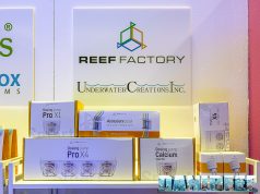 Reef Factory bankrupt – what happens now? All the details