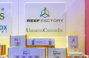 Reef Factory in bancarotta, cosa succederà adesso? Tutte le info