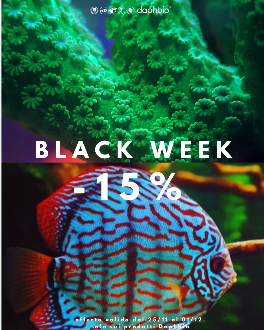 Offerte Daphbio Black Friday 2024