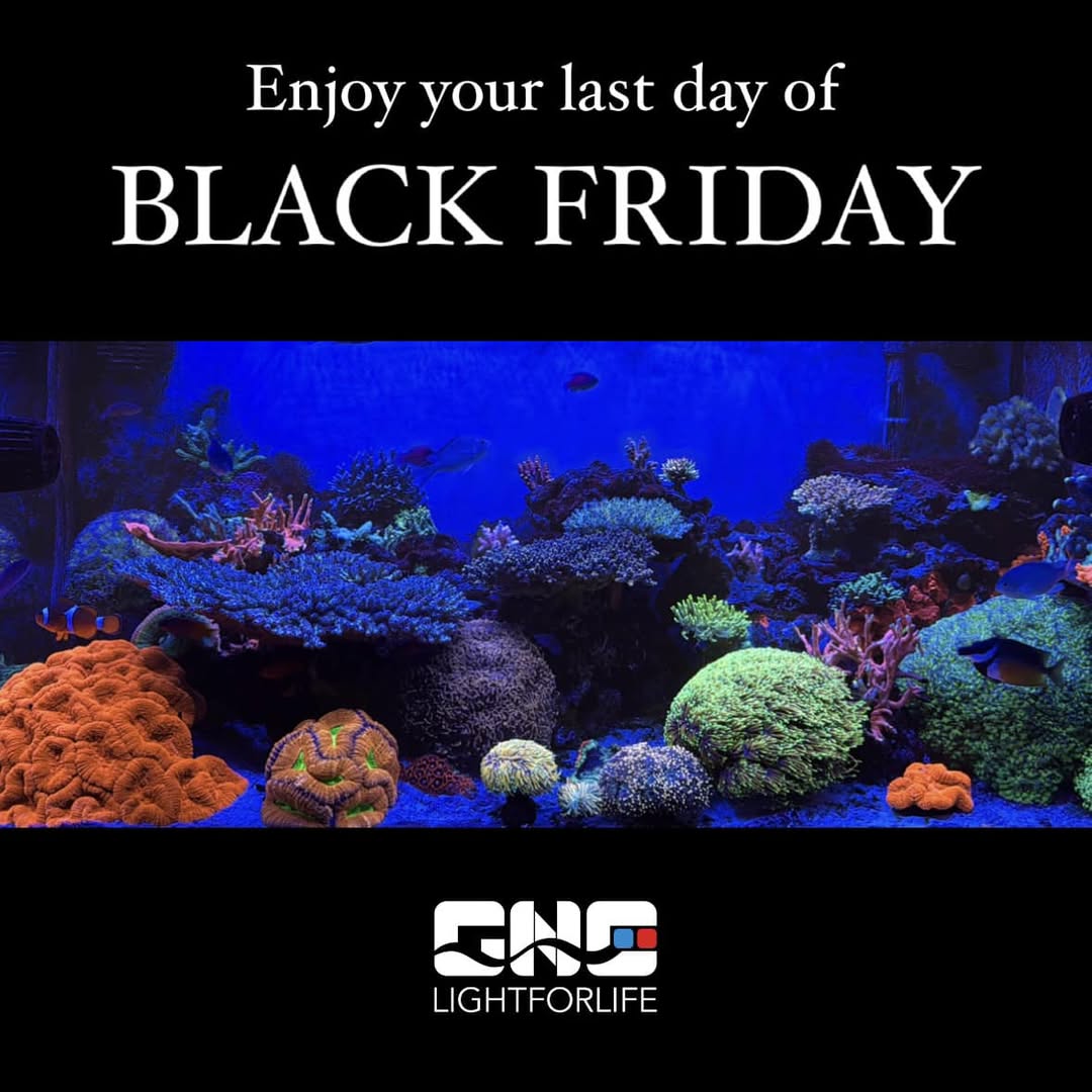 Offerte GNC Black Friday 2024