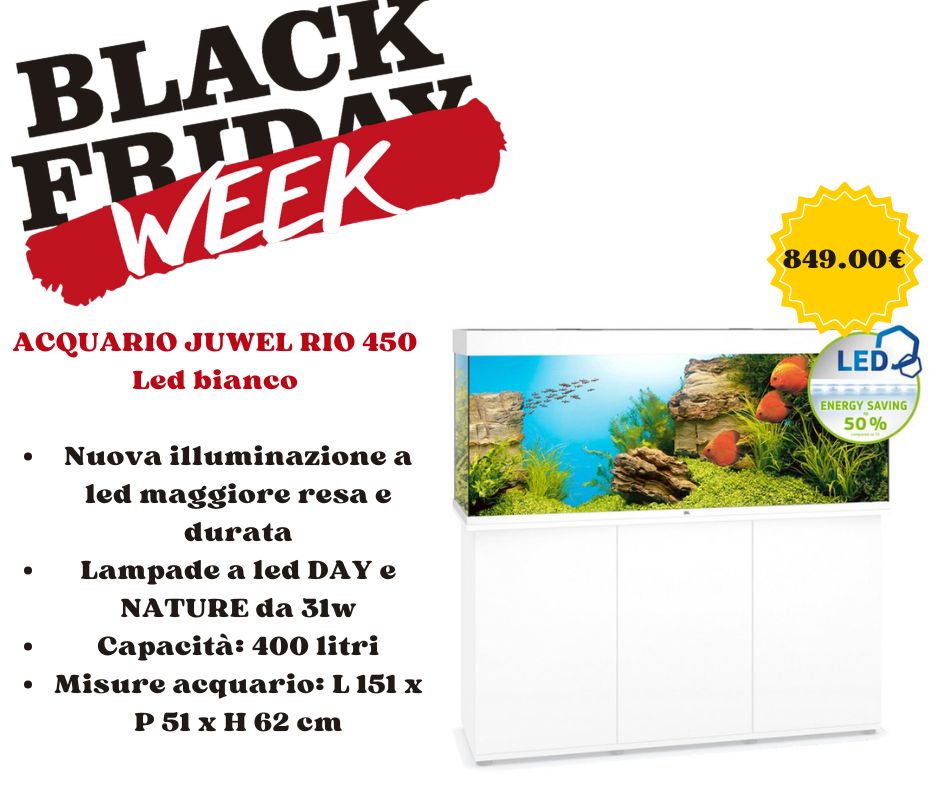 Offerte PetIngros Black Friday 2024