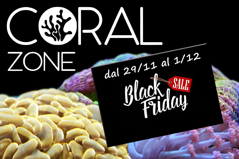 Offerte Coral Zone Black Friday 2024