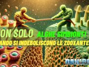 Microbioma del Corallo: Una Riflessione su Equilibri e Ipotesi Microbioma del corallo