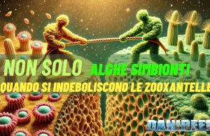 Microbioma del Corallo: Una Riflessione su Equilibri e Ipotesi Microbioma del corallo