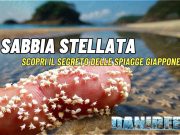 Sabbia Stellata giapponese: scopri il mistero delle stelle di sabbia Sabbia stellata