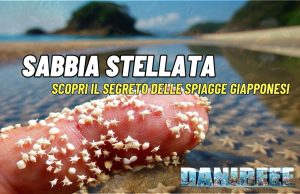 Sabbia Stellata giapponese: scopri il mistero delle stelle di sabbia Sabbia stellata