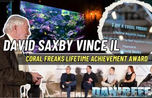 David Saxby vince il “Coral Freaks Lifetime Achievement Award” David Saxby