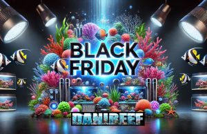 Tutte le offerte e gli sconti del Black Friday 2024 in acquario