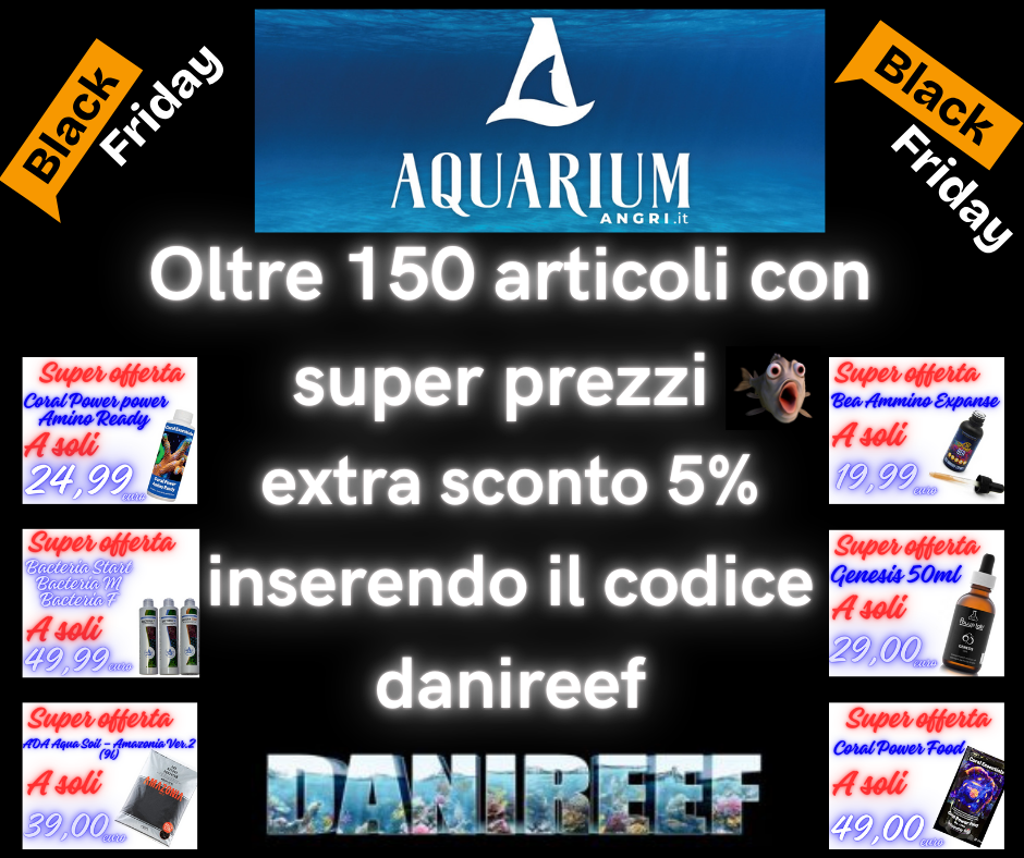 Offerte Black Friday Aquarium Angri 2024