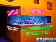 4500 liters of marine aquarium at home? Tamara and Guido