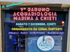 V Raduno acquariologia marina da Coral Fantasy a Chieti con DaniReef