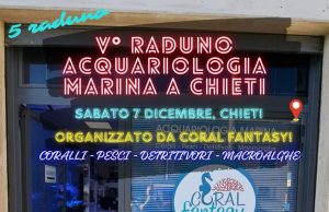 V Raduno acquariologia marina da Coral Fantasy a Chieti con DaniReef