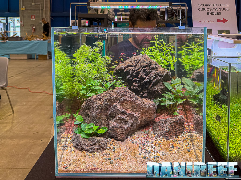 Acquario d'autore con layout aquascaping