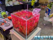 AgriPetGarden con Aquascaping e Twinstar al PetsFestival 2024