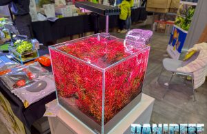 AgriPetGarden con Aquascaping e Twinstar al PetsFestival 2024