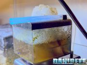 Review of the Sicce Shark Skimmer: nothing less than Spectacular