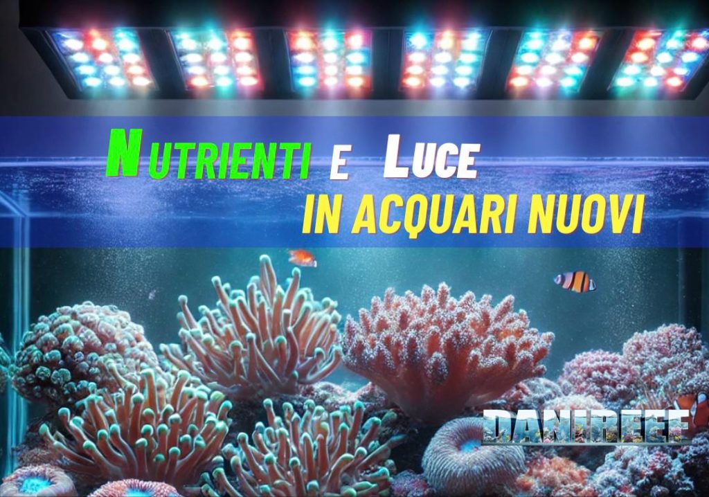 Nutrienti in acquario