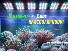 Nutrienti e luce in vasche nuove: come bilanciare per i primi coralli Nutrienti in acquario