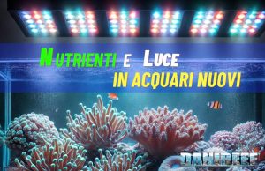 Nutrienti e luce in vasche nuove: come bilanciare per i primi coralli Nutrienti in acquario