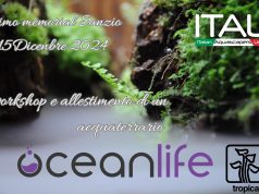 Memorial Sanzio – 15 dicembre – Acquario Club Cesenatico