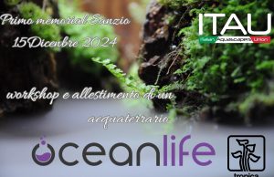 Memorial Sanzio – Acquario Club Cesenatico