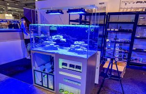 I nuovi acquari ReefTek con intervista esclusiva a Stefano Ruggeri