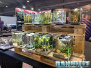 Newa hobby slim: i nuovi piccoli acquari al PetsFestival 2024