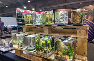 Newa hobby slim: i nuovi piccoli acquari al PetsFestival 2024