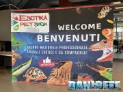 Esotika Pet Show 2024 a Busto Arsizio: Editoriale con video