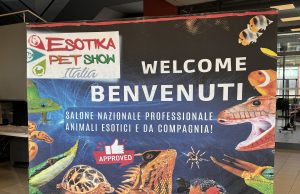 Esotika Pet Show 2024 a Busto Arsizio: Editoriale con video