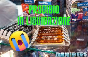 Prodibio in liquidazione: il CEO annuncia che sarà temporaneo