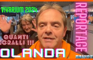 Vivarium 2024: novità incredibili e ancora coralli stratosferici