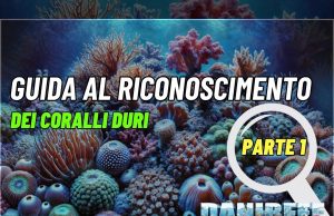 Riconosciamo i coralli: metodi e caratteristiche parte 1 (guida)