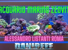 La gemma di Alessandro a Roma: acquario 500 litri Pesci Coralli e Zeovit