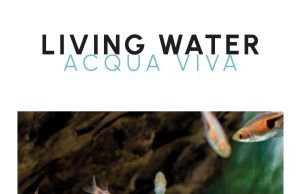 Living Water n.7: Storie di Successo per gli Amanti dell’Acquario