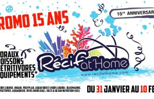 Recifathome: Maxi promo fino al 25% di sconto per i suoi 15 anni