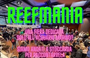 Fiera ReefMania in Germania, ci siamo stati e ve la raccontiamo